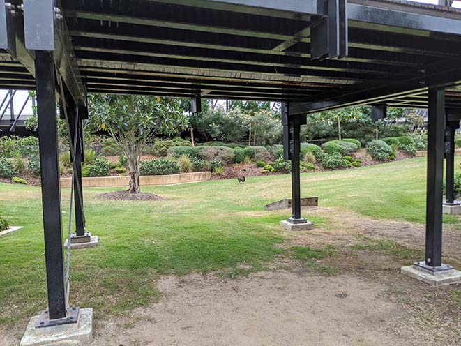 Site of where StraySpace is getting deployed, under the UQ Lakes bridge to the bus station