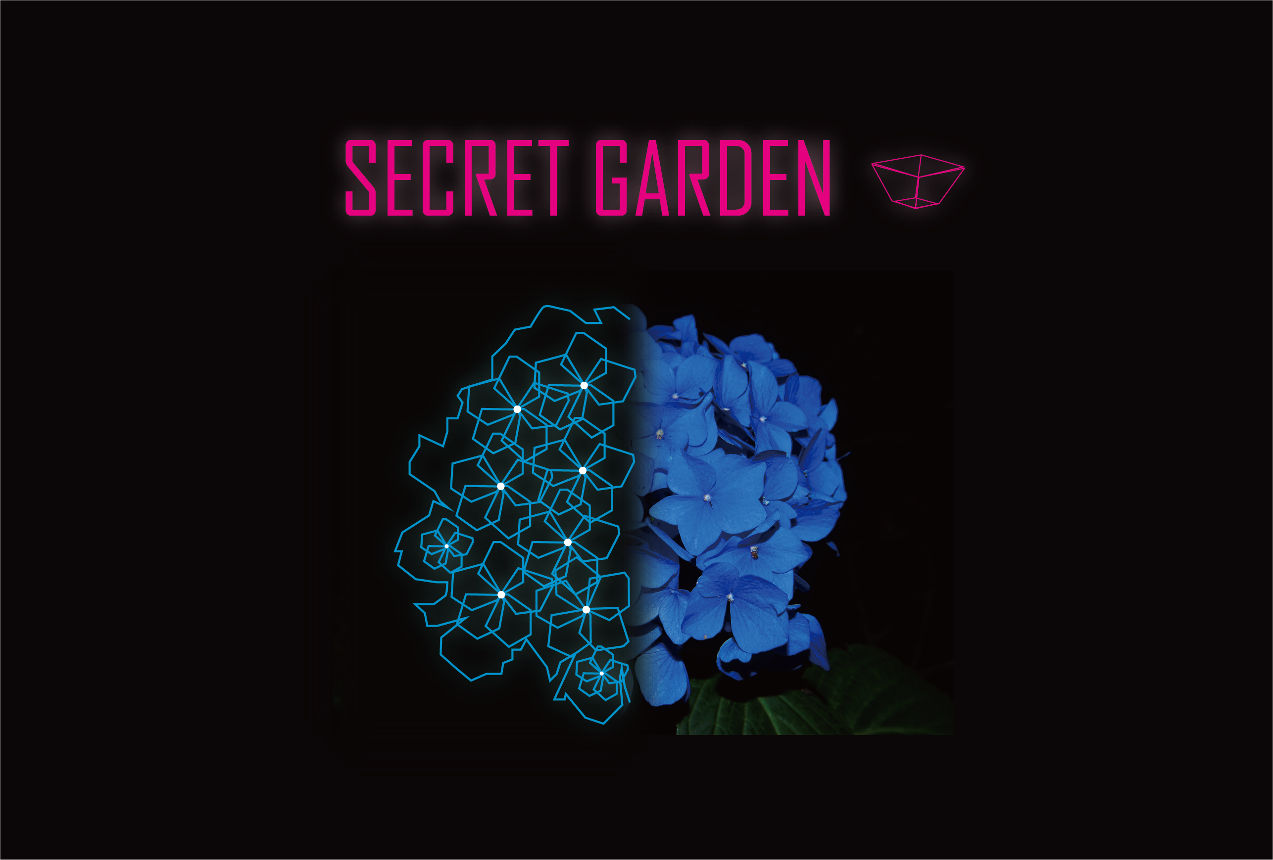 Secret Garden text on a black background. With stylised hydrangea photo below.